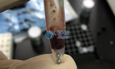 動物肝臟組織樣品前處理實(shí)驗(yàn)研磨效果圖