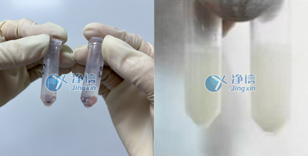 冷凍組織研磨儀對(duì)裸鼠腫瘤組織樣品的前處理實(shí)驗(yàn)研磨效果圖 冷凍組織研磨儀對(duì)裸鼠腫瘤組織樣品的前處理實(shí)驗(yàn)研磨效果圖